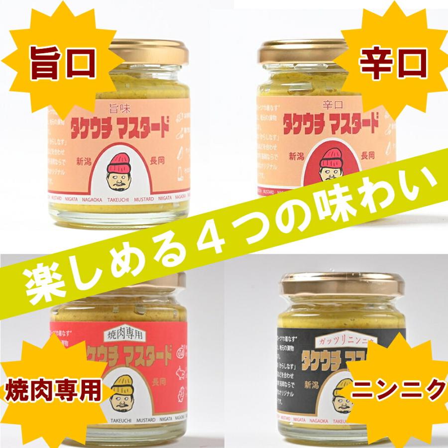 長岡やさい耕房 タケウチマスタード 100g×4種セット(産地直送) |  | 03