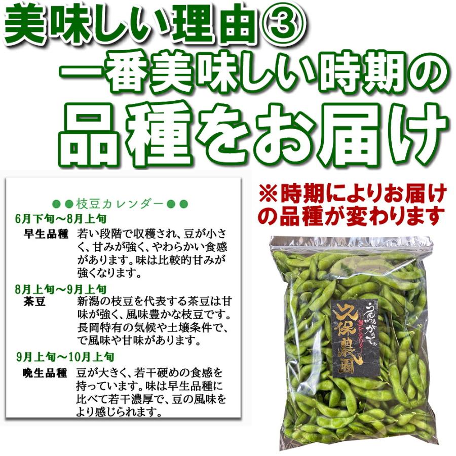 (産地直送)(冷蔵)新潟県長岡市産 枝豆 2kg 久保農園  農家直送 採れたてのえだ豆 ※発送後5日をめどにお召し上がりください | ブランド登録なし | 03