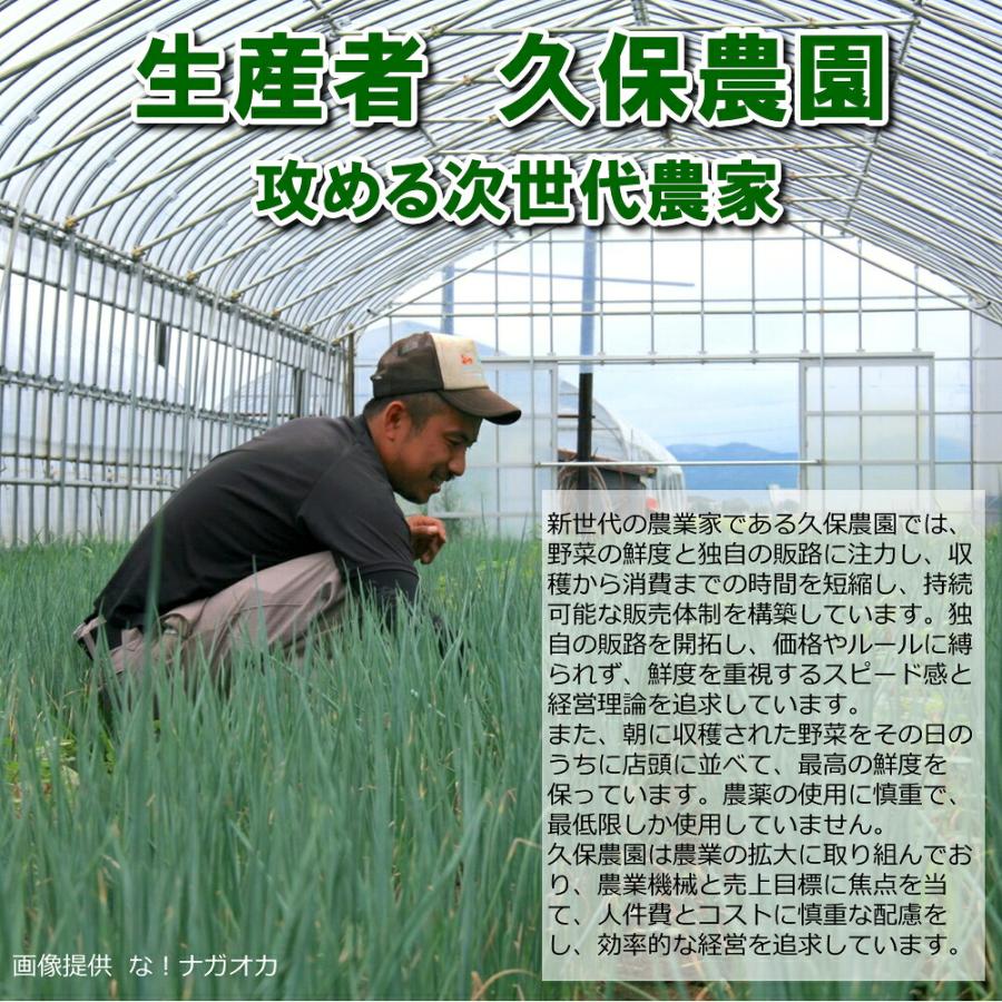 (産地直送)(冷蔵)新潟県長岡市産 枝豆 2kg 久保農園  農家直送 採れたてのえだ豆 ※発送後5日をめどにお召し上がりください | ブランド登録なし | 04