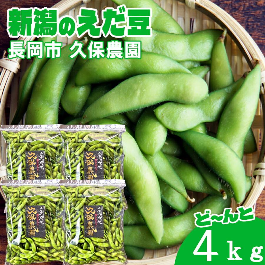 (産地直送)(冷蔵)新潟県長岡市産 枝豆 4kg 久保農園 農家直送 採れたてのえだ豆 ※発送後5日をめどにお召し上がりください | ブランド登録なし