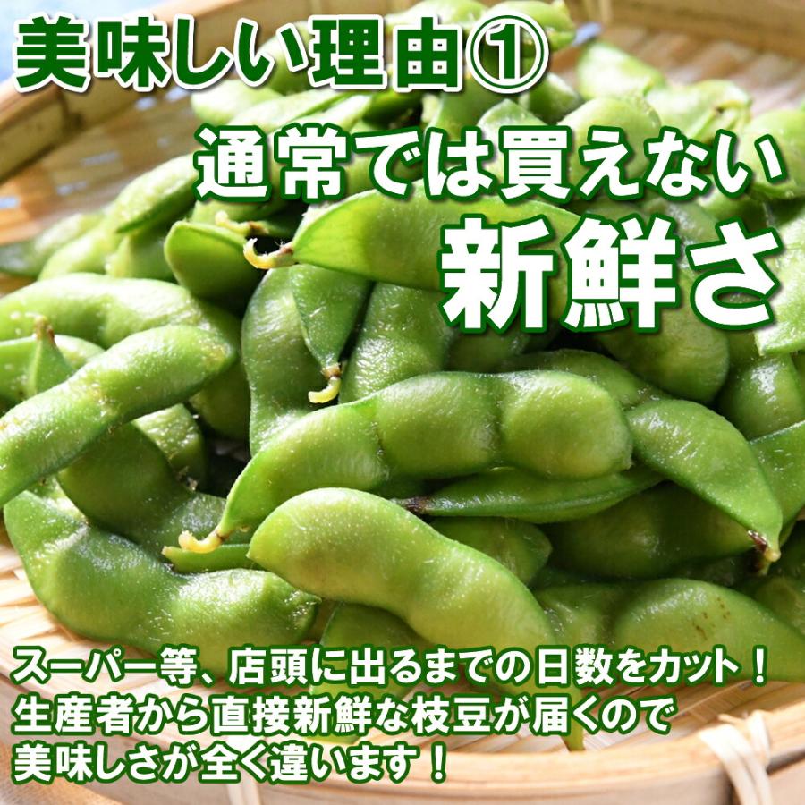 (産地直送)(冷蔵)新潟県長岡市産 枝豆 4kg 久保農園 農家直送 採れたてのえだ豆 ※発送後5日をめどにお召し上がりください | ブランド登録なし | 01