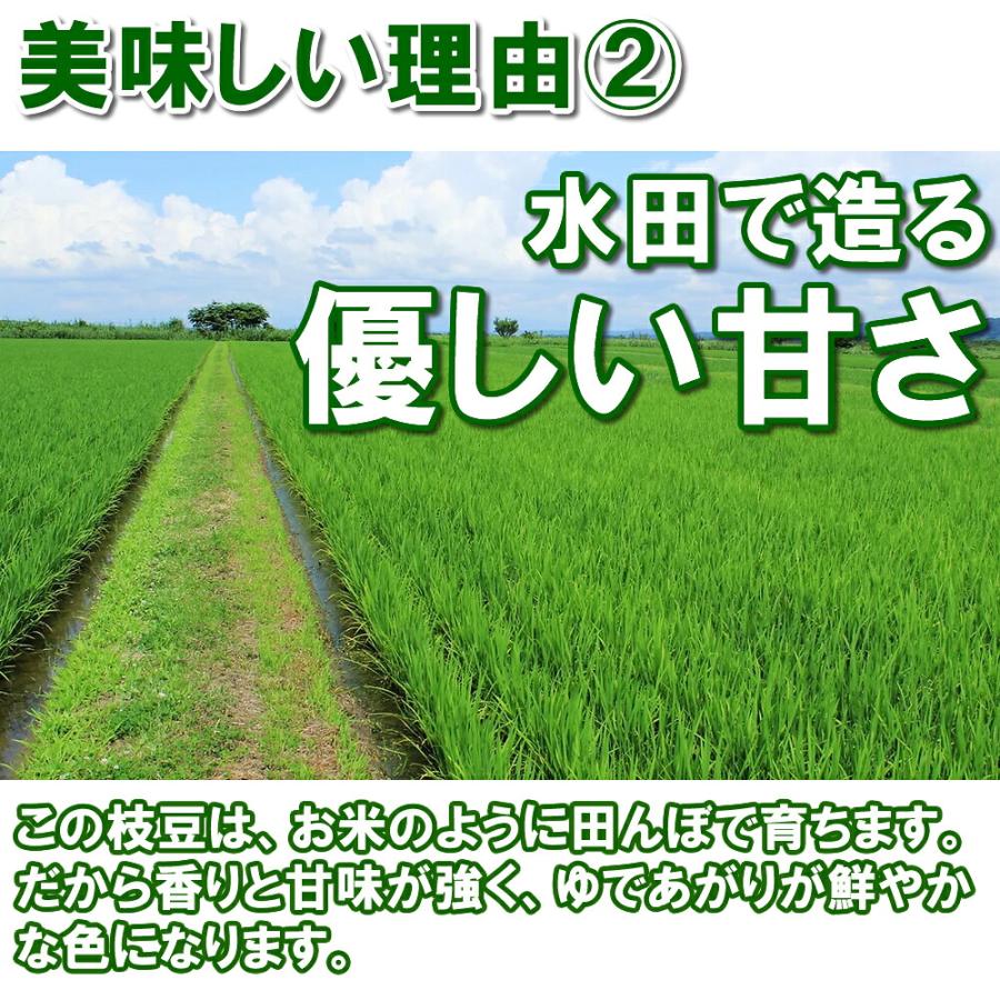 (産地直送)(冷蔵)新潟県長岡市産 枝豆 4kg 久保農園 農家直送 採れたてのえだ豆 ※発送後5日をめどにお召し上がりください | ブランド登録なし | 02