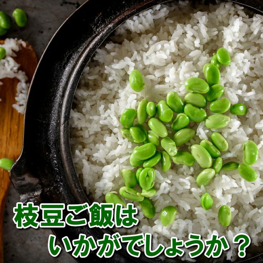 (産地直送)(冷蔵)新潟県長岡市産 枝豆 4kg 久保農園 農家直送 採れたてのえだ豆 ※発送後5日をめどにお召し上がりください | ブランド登録なし | 05