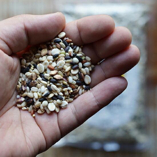 もちもち16穀米 500g×2袋 計1kg SUZUGROUP(産地直送) |  | 02