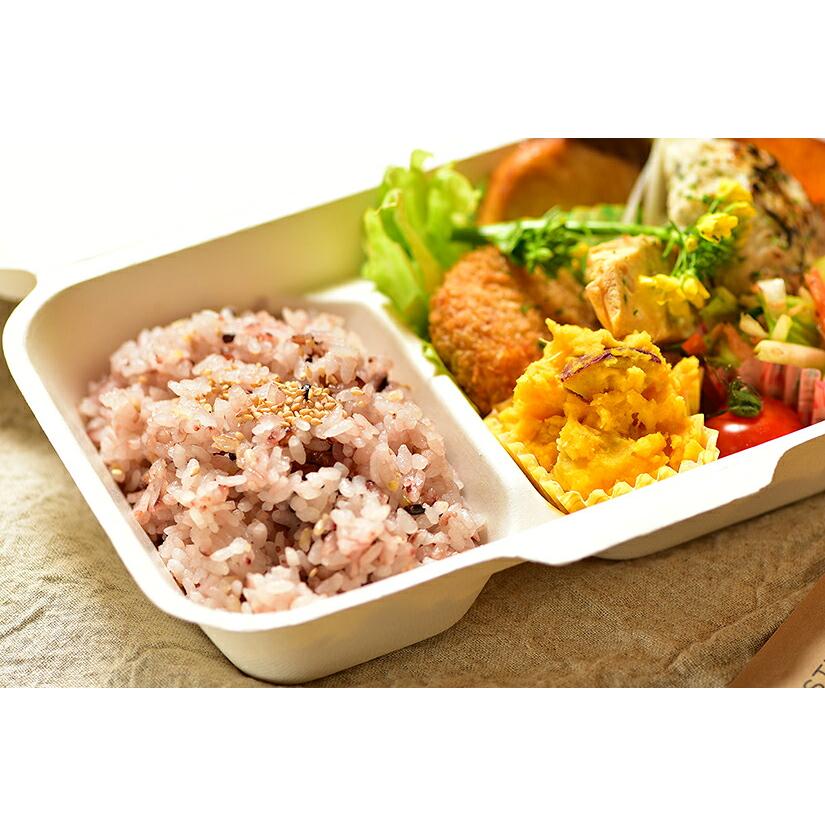 もちもち16穀米 500g×2袋 計1kg SUZUGROUP(産地直送) |  | 03