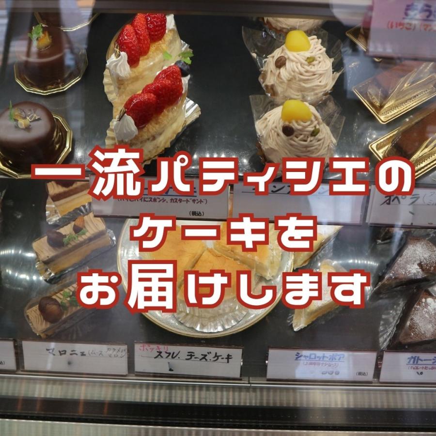 シャルロット ポア 直径15センチ 冷凍 フランス菓子 ダンファンの本格ケーキ | ブランド登録なし | 05