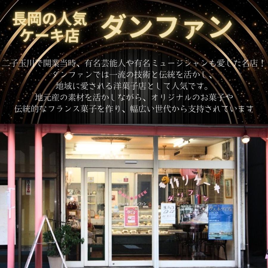 ダンファン 長岡チーズパイ 酒かす 直径18cm 冷凍(産地直送) |  | 03