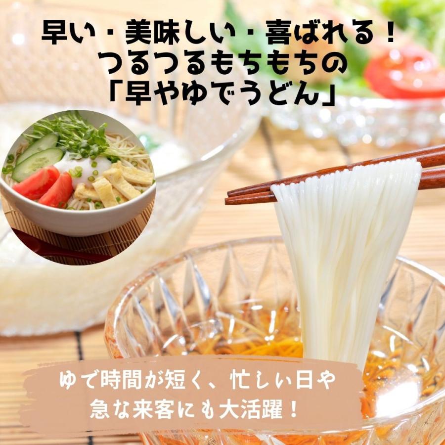 良寛の里 手まりうどん ざる用 200g 20個 与板製麺所 | ブランド登録なし | 01