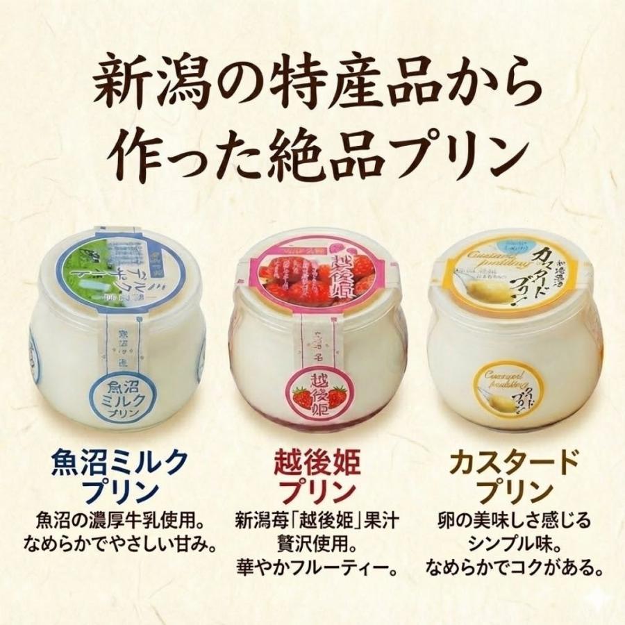 (産地直送)(冷凍)越後のプリンセット 110m×6個セット 魚沼ミルクプリン2個 越後姫プリン2個 カスタードプリン2個 長岡市 新潟グルメ サンエツフーズ | ブランド登録なし | 01
