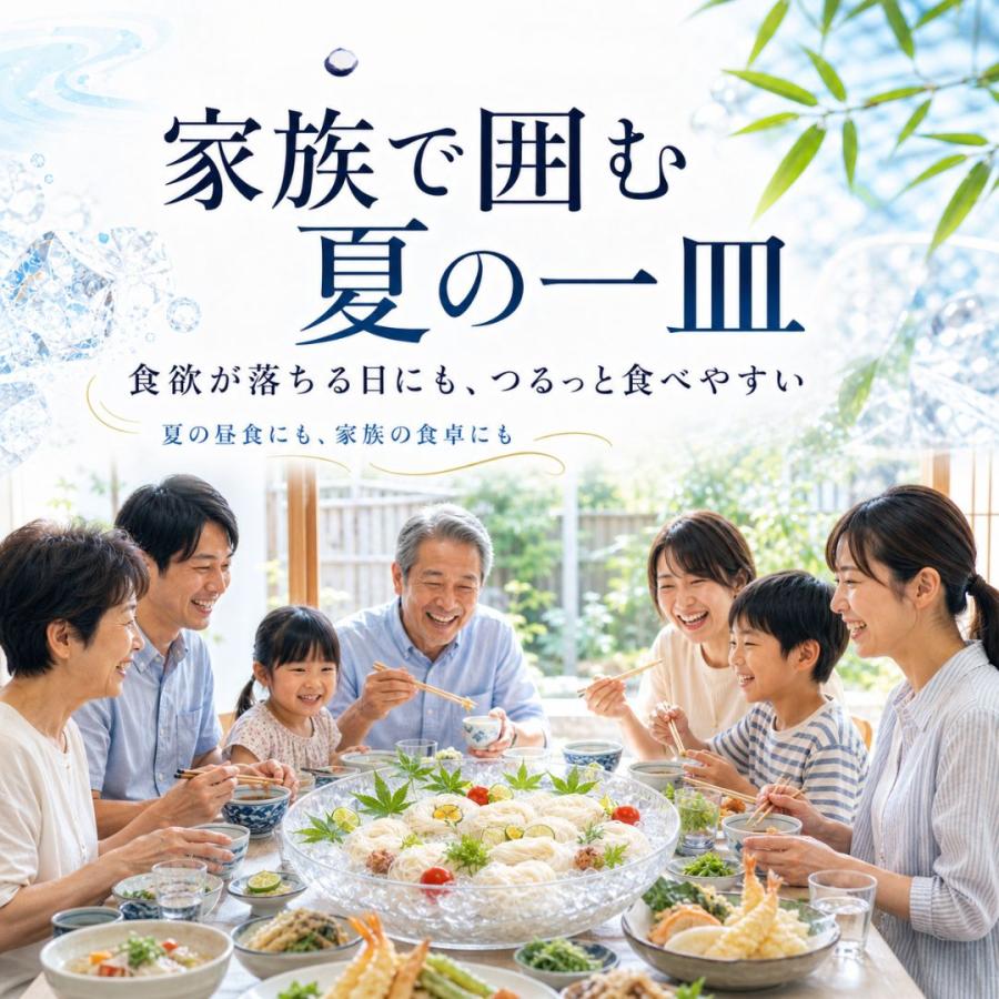 (産地直送)まるや君が代のそうめん 10袋（90ｇ×2個）化粧箱入り 素麺 | ブランド登録なし | 06