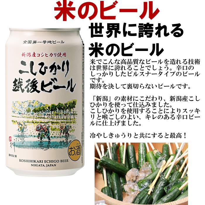 クラフトビール 地ビール 飲み比べ 詰め合わせ 缶 エチゴビール 6種類 飲み比べ 350ml 24本セット | エチゴビール | 03