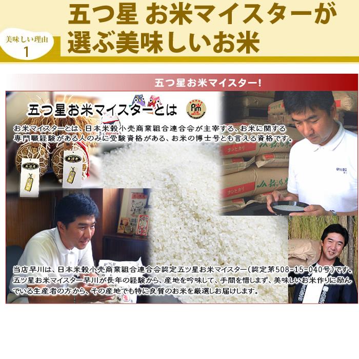 (産地直送)新潟米 新之助 5kg しんのすけ 令和7年産 早川米穀店 | 新之助 | 04
