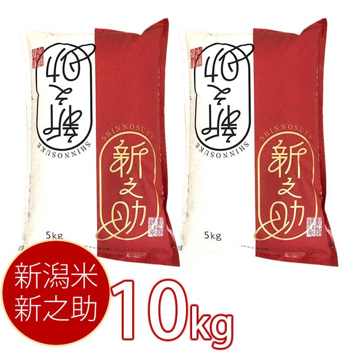 (産地直送)新潟米 新之助 10kg(5kg×2袋) しんのすけ 令和7年産 早川米穀店 | 新之助