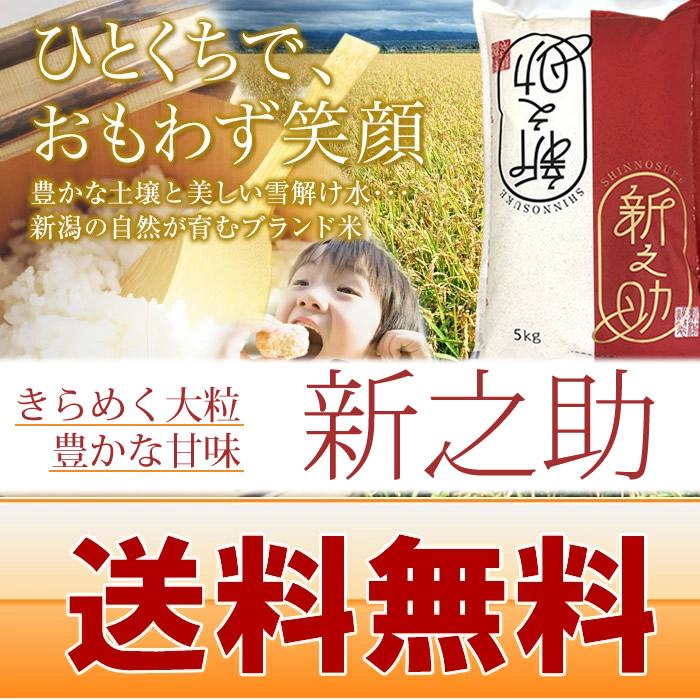 (産地直送)新潟米 新之助 10kg(5kg×2袋) しんのすけ 令和7年産 早川米穀店 | 新之助 | 02