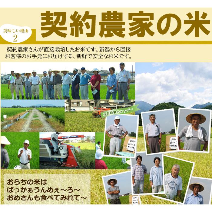 (産地直送)新潟米 新之助 10kg(5kg×2袋) しんのすけ 令和7年産 早川米穀店 | 新之助 | 05