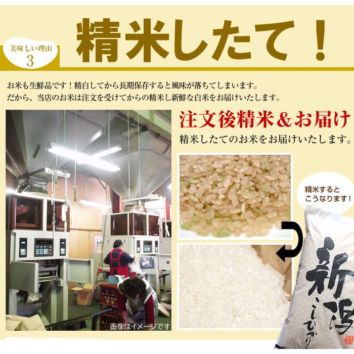 (産地直送)新潟米 新之助 10kg(5kg×2袋) しんのすけ 令和7年産 早川米穀店 | 新之助 | 06