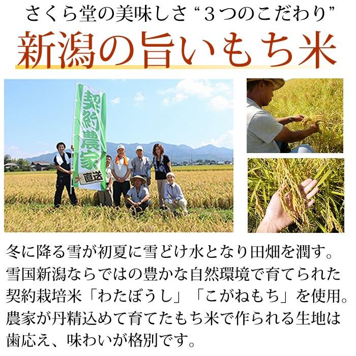 さくら堂 新潟米 おかき あられ おせんべい 6種類セット さくら製菓(産地直送) | ブランド登録なし | 02