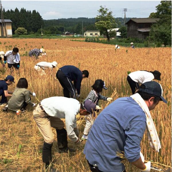 （産地直送）生醤油 郷土の実り 360ml 新潟県産生（き）醤油 ホクショク | ブランド登録なし | 02
