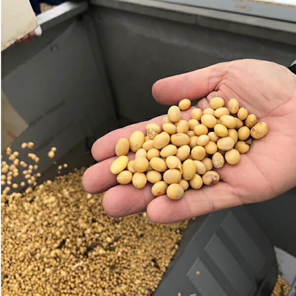 （産地直送）生醤油 郷土の実り 360ml 新潟県産生（き）醤油 ホクショク | ブランド登録なし | 03