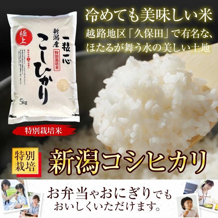 特別栽培米 新潟産 こしひかり 白米 5kg 送料無料 | コシヒカリ | 02