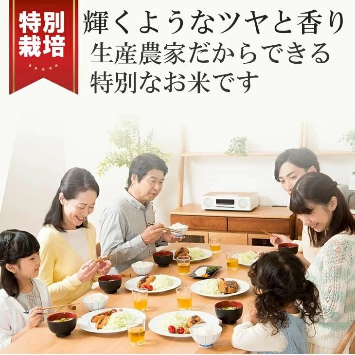 特別栽培米 新潟産 こしひかり 白米 5kg 送料無料 | コシヒカリ | 04