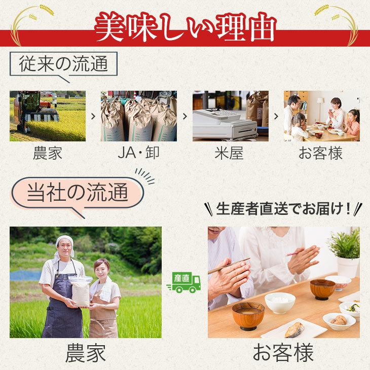 特別栽培米 新潟産 こしひかり 白米 5kg 送料無料 | コシヒカリ | 05