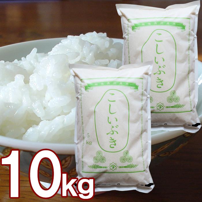 新潟産 こしいぶき 10kg  令和7年 米 新潟 早川米穀店 | こしいぶき