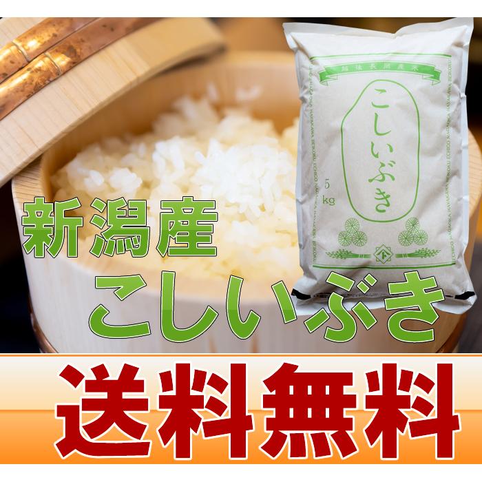 新潟産 こしいぶき 10kg  令和7年 米 新潟 早川米穀店 | こしいぶき | 01