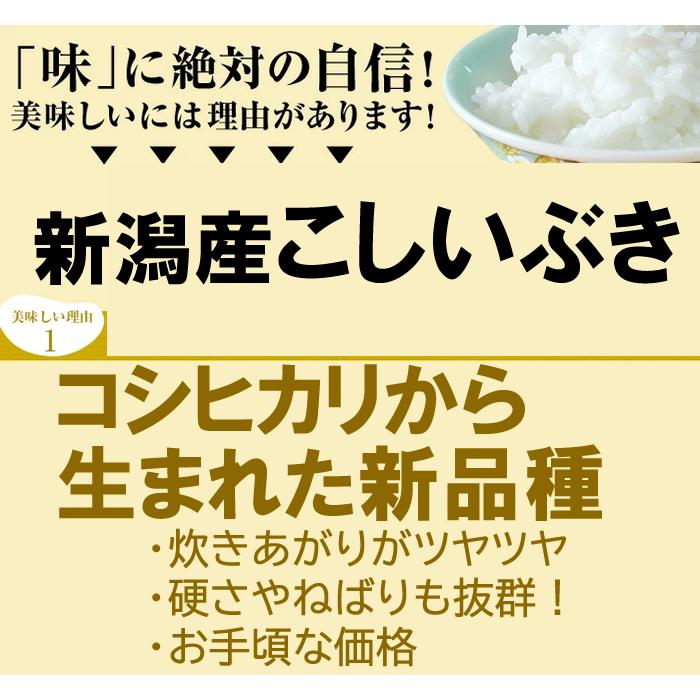 新潟産 こしいぶき 10kg  令和7年 米 新潟 早川米穀店 | こしいぶき | 02