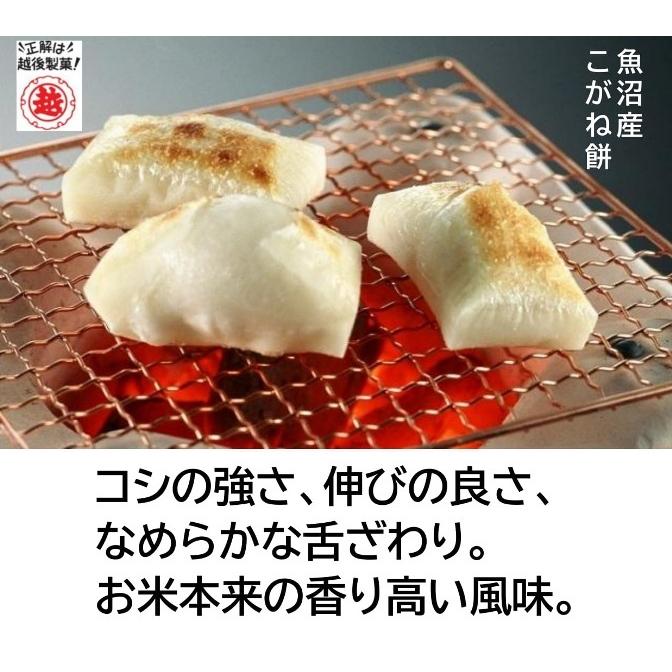 越後製菓 新潟魚沼産こがね餅500g(切り餅個装入) : 越後製菓オンライン
