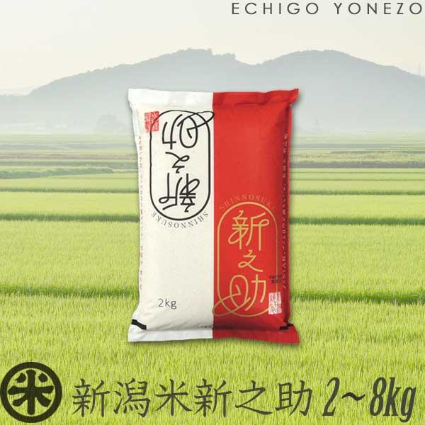 新之助（しんのすけ） 新米 令和7年産 新潟産 白米 2kg 4kg 6kg 8kg