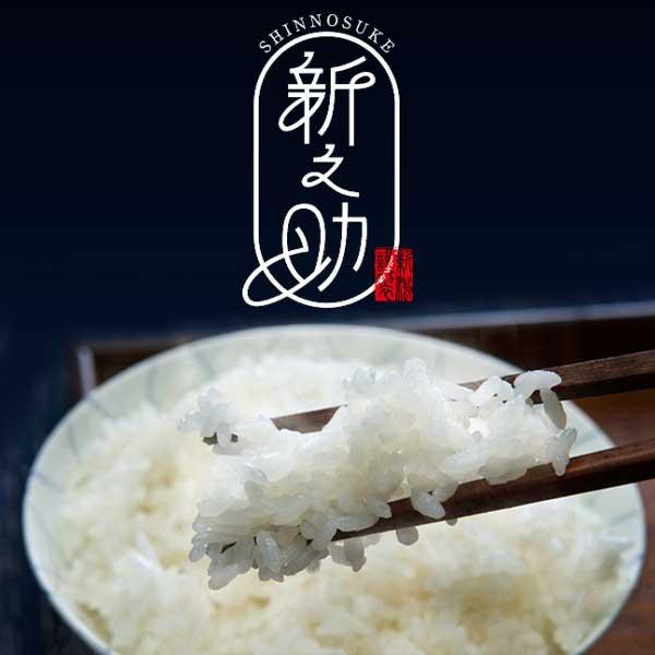 新之助（しんのすけ） 新米 令和7年産 新潟産 白米 5kg 10kg 15kg 20kg