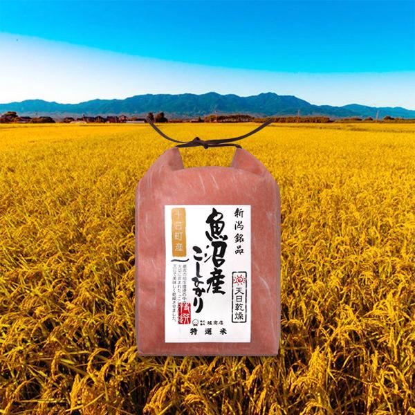 ひろこっち出品　南魚沼産(天日干し米)新米コシヒカリ 30kg 令和7年産 堀商店 新米 令和7年産 天日干し 中魚沼 十日町産コシヒカリ 2kg 4kg