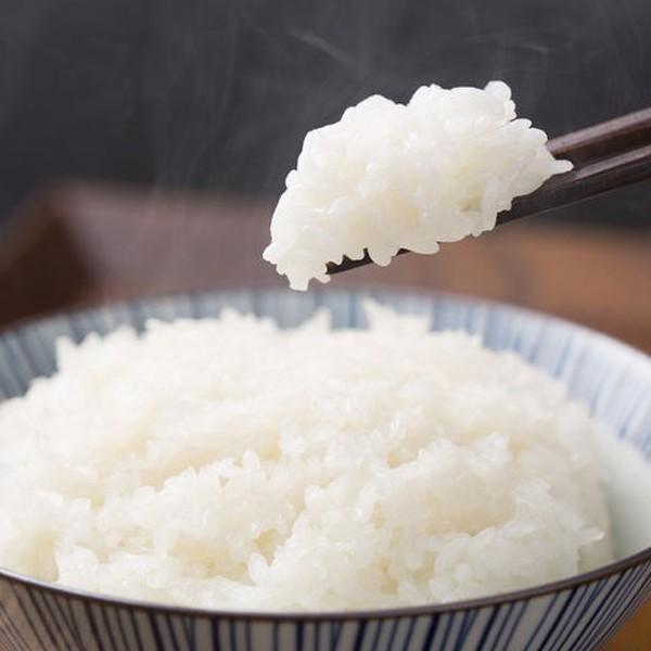 コシヒカリ 新潟米 令和6年産 佐渡産コシヒカリ 朱鷺と暮らす郷 コシヒカリ 新潟米 令和6年産 佐渡産コシヒカリ 朱鷺と暮らす郷