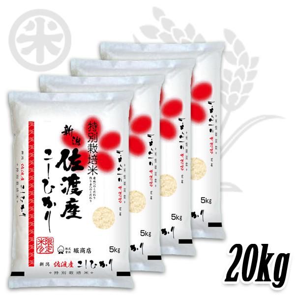コシヒカリ 新潟米 令和6年産 佐渡産コシヒカリ 朱鷺と暮らす郷づくり