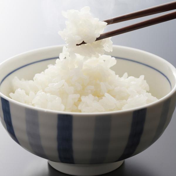 新米 令和7年産 岩船の山育ち 朝日産コシヒカリ 特選限定米 15kg (5kg×3袋) 新潟米 こしひかり お米 白米 送料無料 ギフト対応_5