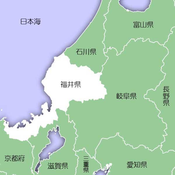 福井米 令和5年産無洗米 福井県産 いちほまれ 15kg 吟選米紀行 ピロータイプ 平袋入 日本全国銘米シリーズ sakihokore akita｜echigoyonezo｜03