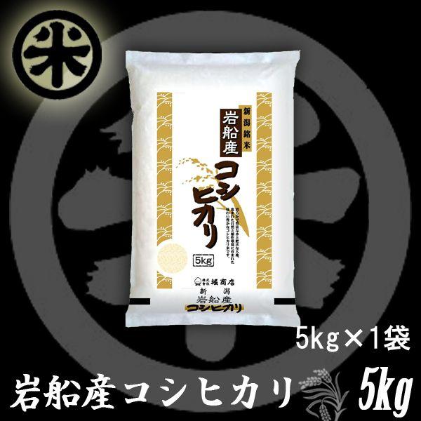 コシヒカリ 新米 令和7年産 岩船産コシヒカリ 厳選産地米 5kg 10kg