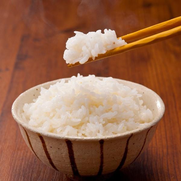 Trang vu様専用③）令和6年産新米 厳選砕け米 24.5キロ コシヒカリ