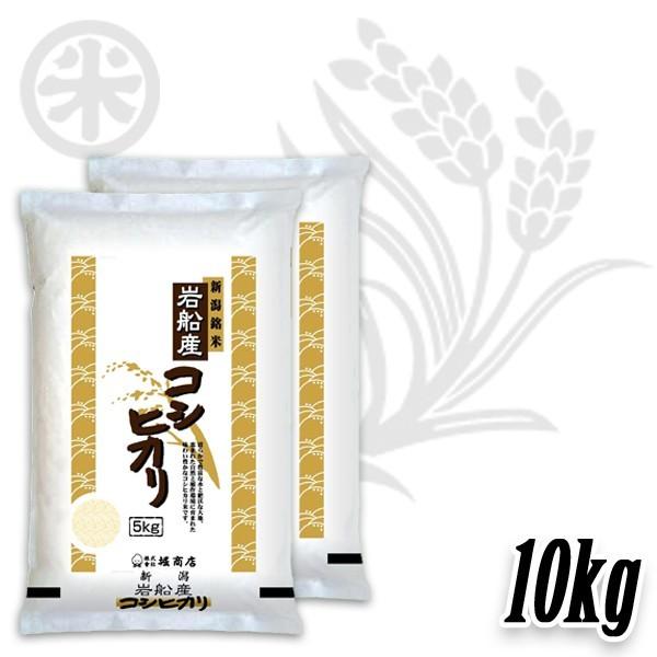 コシヒカリ 新米 令和7年産 岩船産コシヒカリ 厳選産地米 10kg (5kg×2