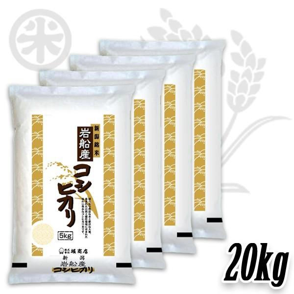 コシヒカリ 新米 令和7年産 岩船産コシヒカリ 厳選産地米 20kg (5kg×4