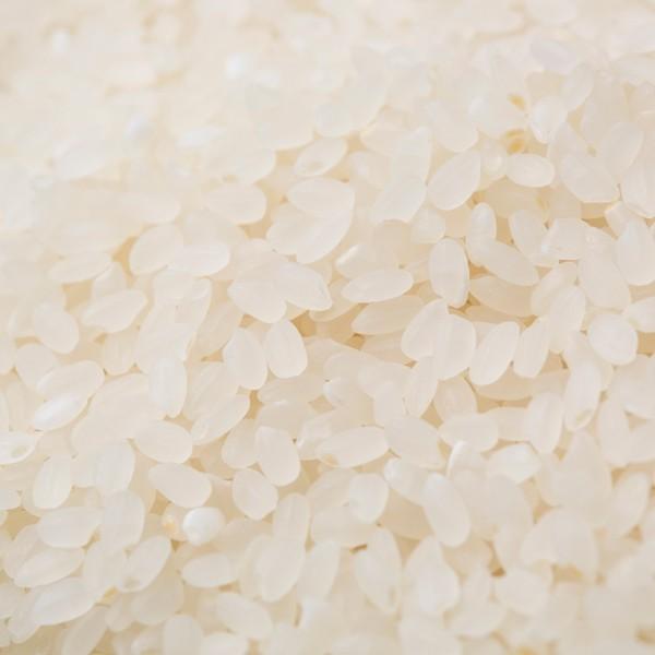 コシヒカリ 新米 令和7年産 岩船産コシヒカリ 厳選産地米 20kg (5kg×4
