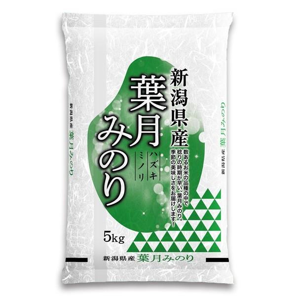 新潟米 令和6年産 新潟県産 葉月みのり 20kg (5kg×4袋 厳選産地