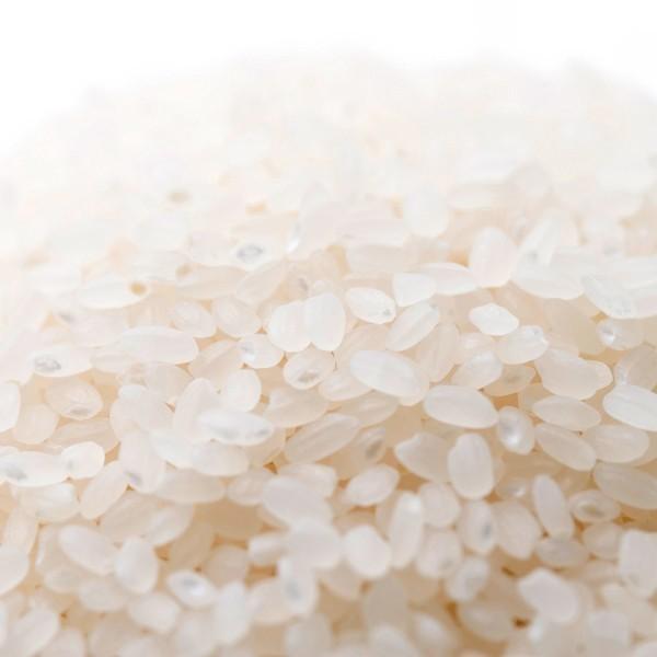 新潟米 令和6年産 新潟産コシヒカリ 金ぼんぼり 10kg 5kg×2 新潟米 令和6年産 新潟産コシヒカリ 金ぼんぼり 10kg (5kg×2袋)