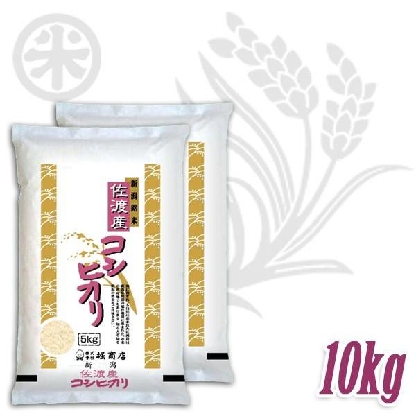 コシヒカリ 新潟米 令和6年産 佐渡産コシヒカリ 厳選産地米 10kg