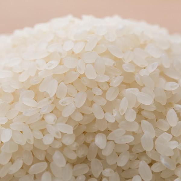 ★R6年新米　新潟県佐渡産コシヒカリ　５割減減特別栽培米　30kg ☆R6年新米 新潟県佐渡産コシヒカリ 5割減減特別栽培米 30kg
