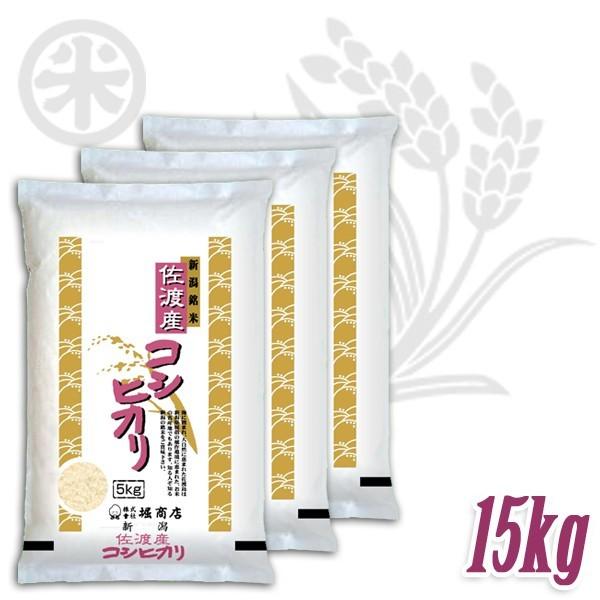 コシヒカリ 新米 令和7年産 佐渡産コシヒカリ 厳選産地米 15kg (5kg×3