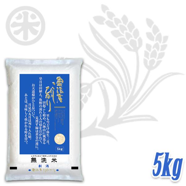 令和6年度産　魚沼産コシヒカリ　1等米　脱ネオニコ米　殺虫剤不使用　白米20kg 令和5年度産 魚沼産コシヒカリ 1等米 脱ネオニコ米 殺虫剤不使用