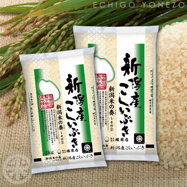こしいぶき 新潟米 令和6年産 新潟産こしいぶき 30kg (5kg×6袋) 新潟米 