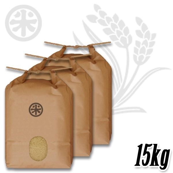 コシヒカリ 新潟米 令和7年産 玄米 新潟産コシヒカリ 15kg (5kg×3袋